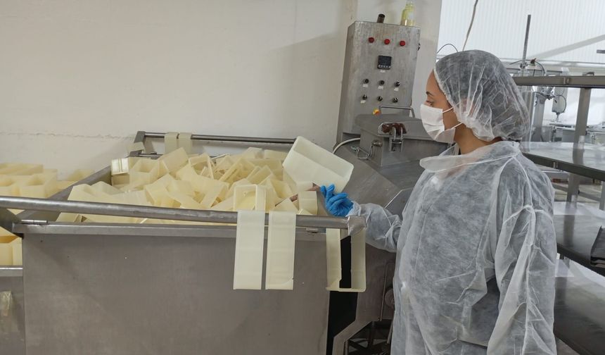 Değirmenlik-Akıncılar Belediyesi'nden gıda denetimi...Süt fabrikası mühürlendi