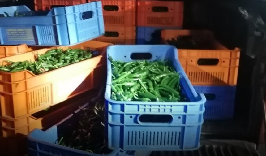 Aracında taşıdığı 100 kg biberle Güney Kıbrıs'a kaçak geçmeye çalışan Kıbrıslı Türk yakalandı