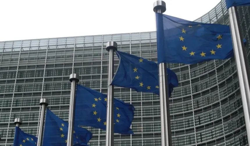 AB'nin internet sitesine siber saldırı