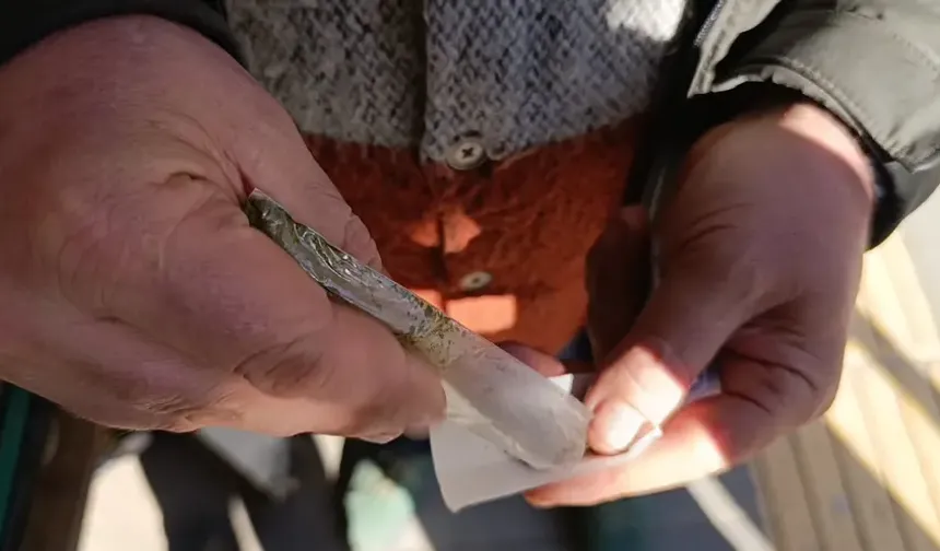 8 paket sigaraya bedel. İçinde yüksek nikotin var, kanseri tetikliyor