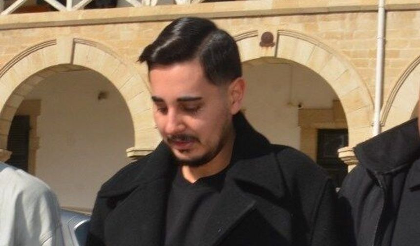 Köpekleri gümrüğe bildirmedi, sahte belge verdi