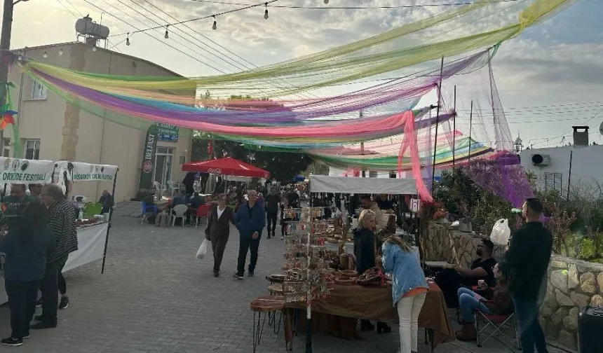 13. Geleneksel Hisarköy Orkide Festivali hafta sonu yapılıyor