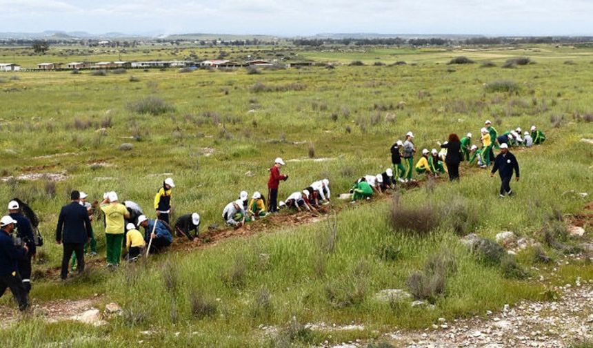 Mesarya bölgesinde 1000 fidan dikildi