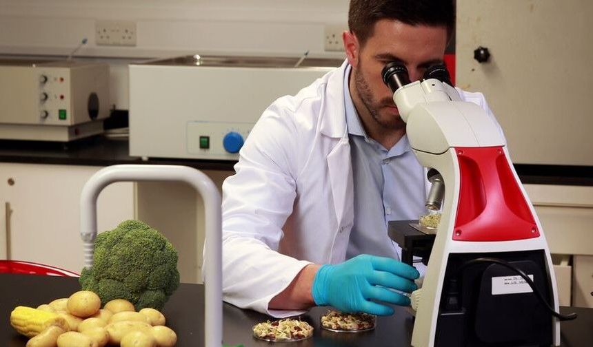 Gıda denetimleri… Yerli ürünlerin 6'sında tavsiye dışı ve limit üstü bitki koruma ürünü