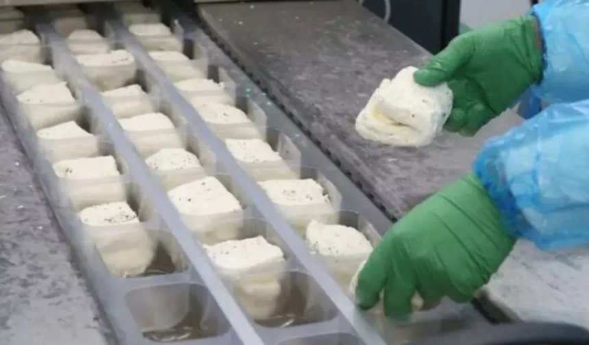 KTSO: “Yeşil Hat üzerinden hellim ihracatındaki engel kalkıyor”