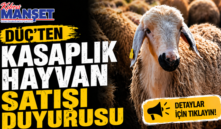 DÜÇ’ten kasaplık hayvan satışı duyurusu