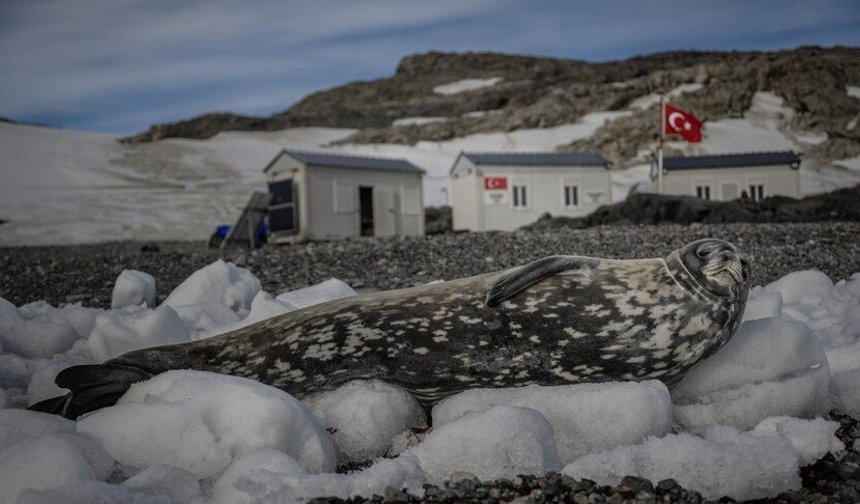 "Türk Antarktika Bilim Üssü" hazırlıkları tamamlandı