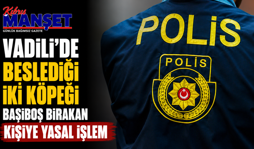 Vadili’de beslediği iki köpeği başıboş bırakan kişiye yasal işlem
