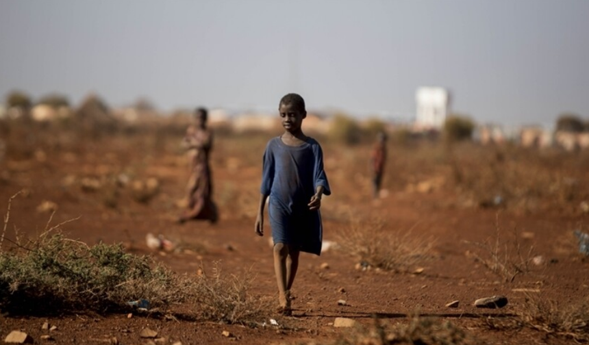 Somali'de 6,5 milyon kişi ciddi gıda güvensizliğiyle karşı karşıya