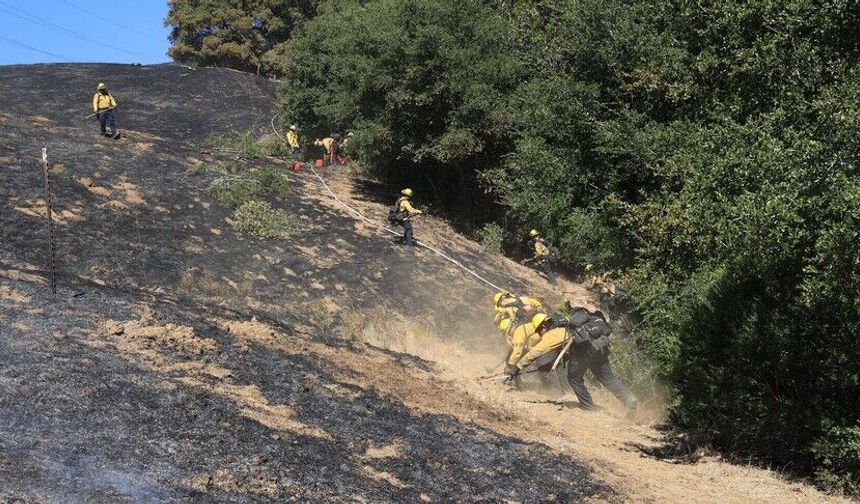 ABD'nin California eyaletinde çıkan yangında 14 bin 600 dönümden fazla alan yandı