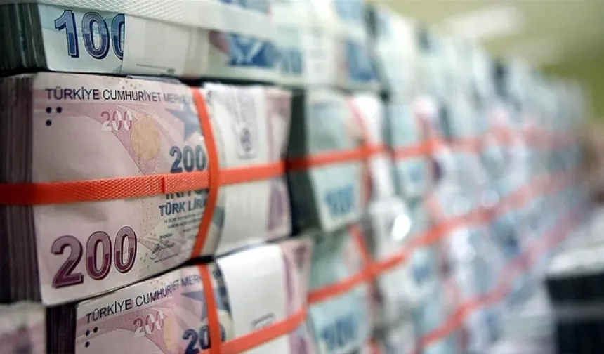 TC Hazine ve Maliye Bakanlığı, 1 trilyon 848,3 milyar liralık borçlanmaya gidecek