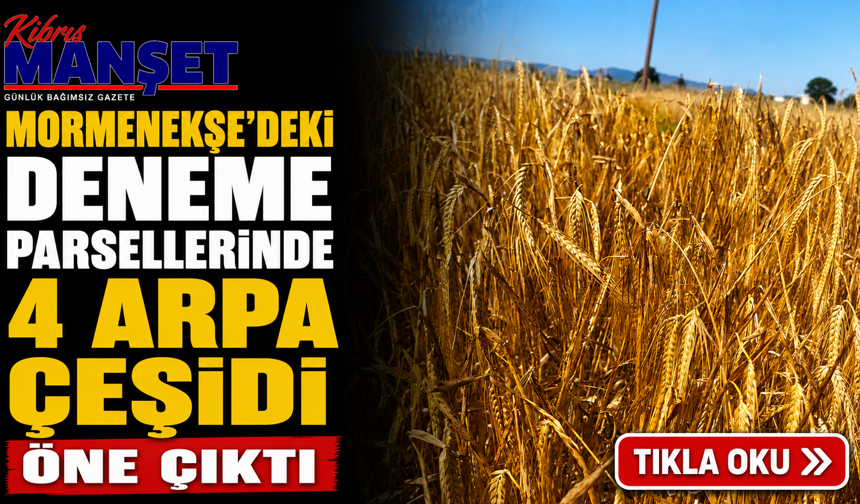 Mormenekşe'deki deneme parsellerinde 4 arpa çeşidi öne çıktı