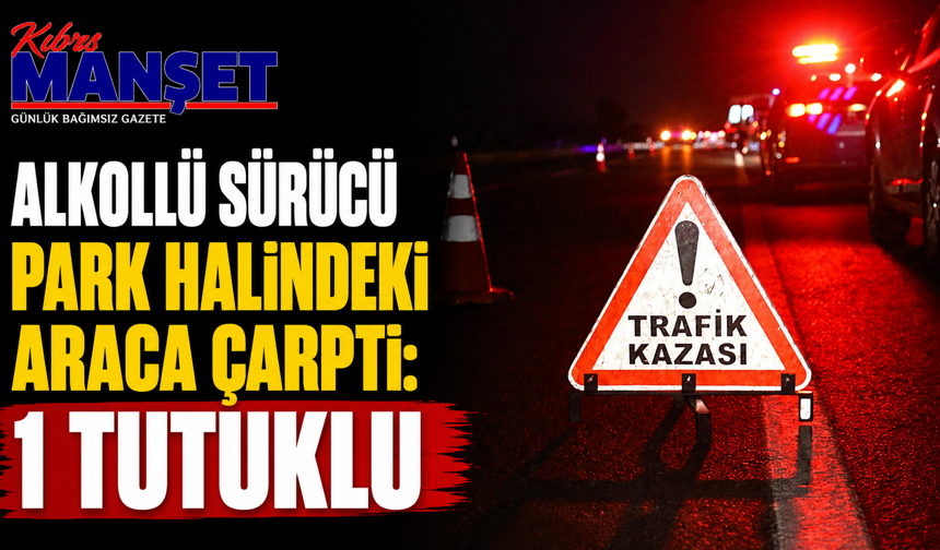 Alkollü sürücü park halindeki araca çarptı: 1 tutuklu