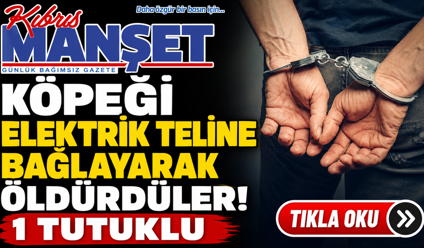 Sipahi'de köpeğin öldürülmesi olayıyla ilgili 66 yaşında bir kişi tutuklandı