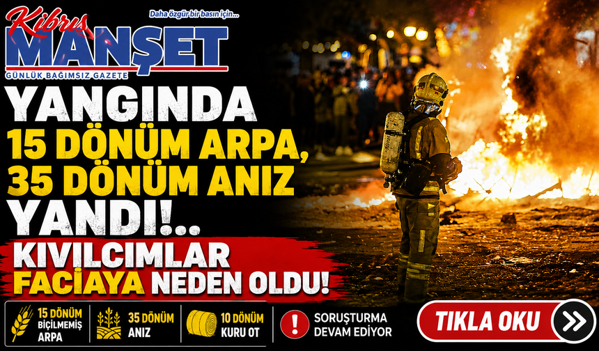 Vadili'de 15 dönüm arpa yandı