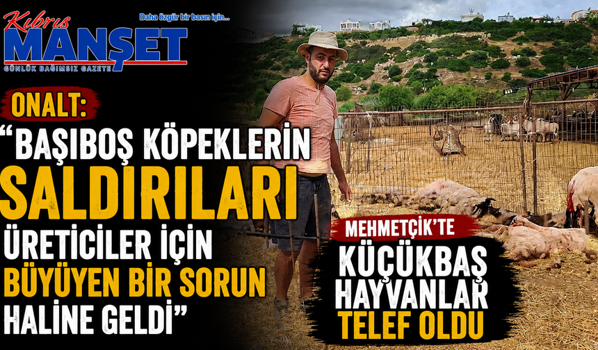 Onalt: “Başıboş köpeklerin saldırıları üreticiler için büyüyen bir sorun haline geldi"