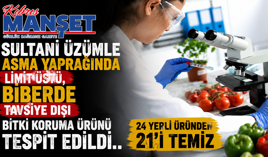 Sultani üzümle asma yaprağında limit üstü, biberde tavsiye dışı bitki koruma ürünü tespit edildi
