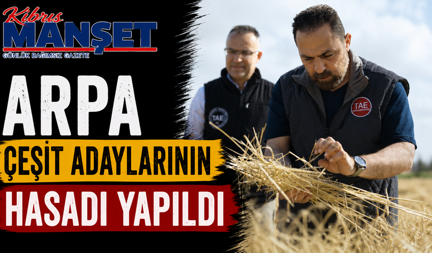 Arpa çeşit adaylarının hasadı yapıldı