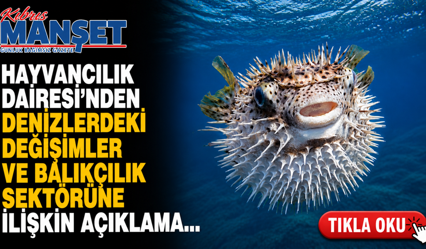 Hayvancılık Dairesinden denizlerdeki değişimler ve balıkçılık sektörüne ilişkin açıklama…