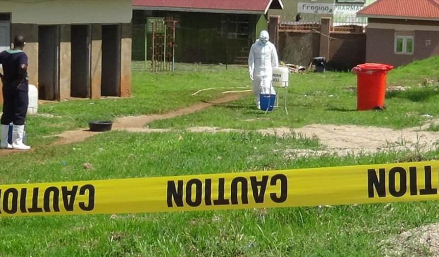 DSÖ alarm verdi: Ebola salgını küresel halk sağlığı acil durumu ilan edildi