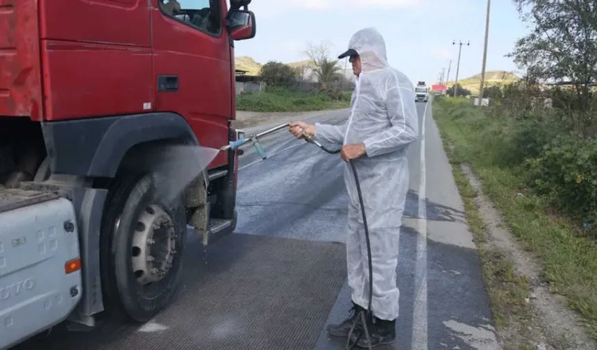 Güney Kıbrıs'ta şap hastalığı yayılmaya devam ediyor