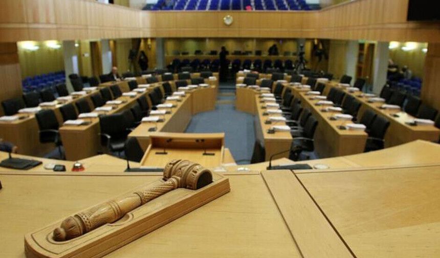 Rum meclisine giren kadın milletvekilleri