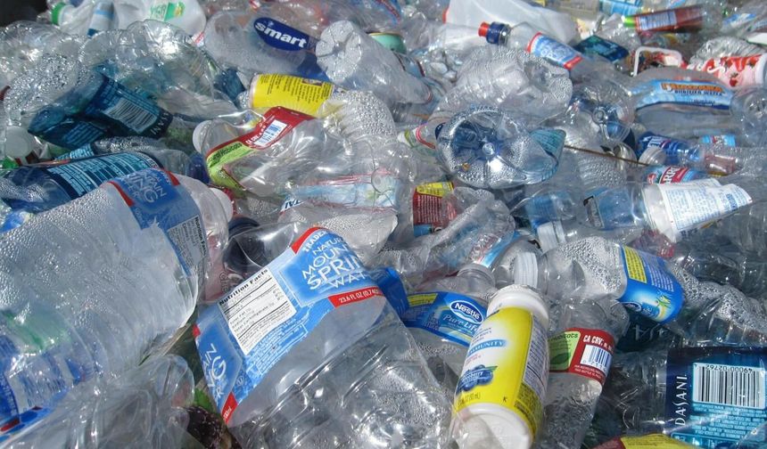 Mikroplastiklerle alerji arasındaki bağlantı belirlendi