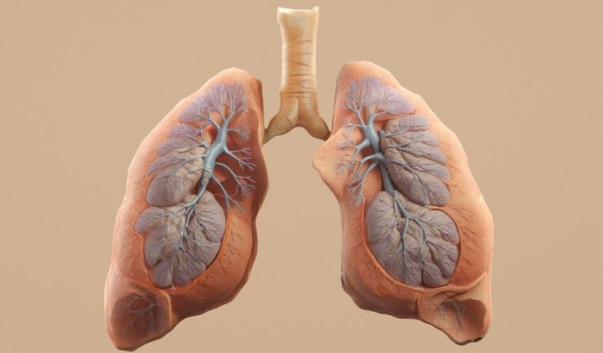 50 yaş altında kanserin hiç olmadığı kadar fazla görülmesinin sebebi açıklandı