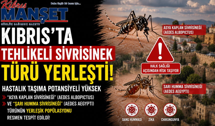 Kıbrıs’ta hastalık riski taşıyan iki tür sivrisinek resmen ECDC haritasında
