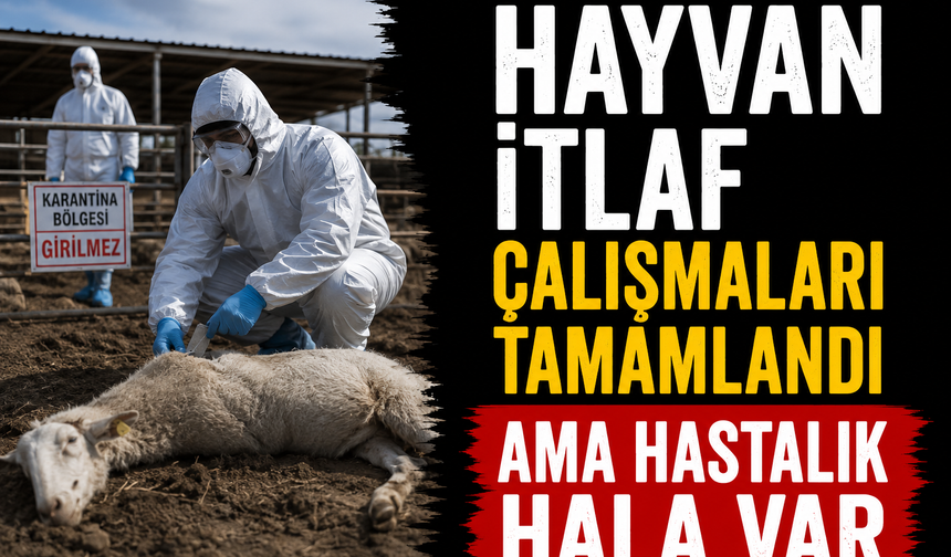 Hayvan itlaf çalışmaları tamamlandı ama hastalık hala var