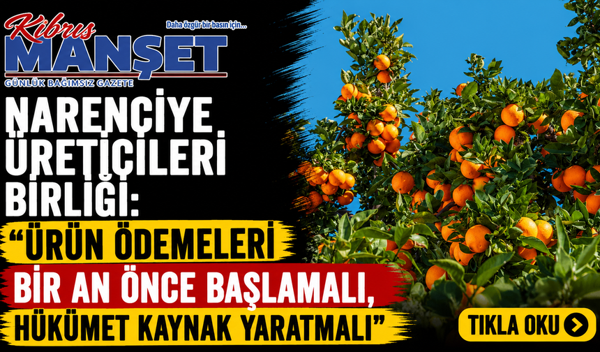 Narenciye Üreticileri Birliği: “Ürün ödemeleri bir an önce başlamalı, hükümet kaynak yaratmalı”