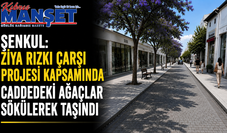 Şenkul, Ziya Rızkı Çarşı Projesi kapsamında caddedeki ağaçların sökülerek taşındığını söyledi