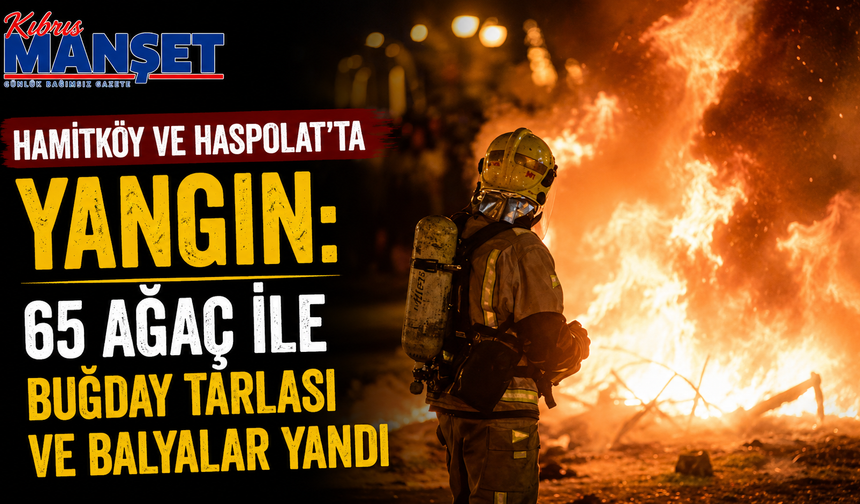 Hamitköy ve Haspolat’ta yangın: 65 ağaç ile buğday tarlası ve balyalar yandı