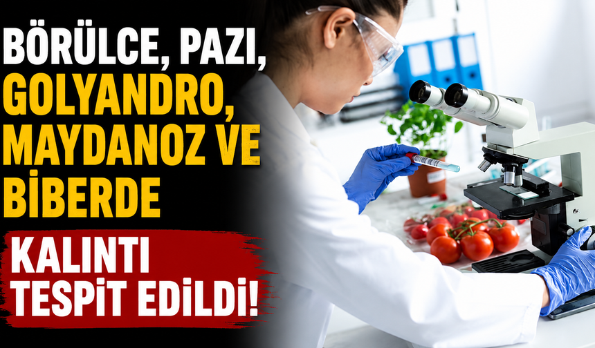 Börülce, pazı, golyandro, maydanoz ve biberde kalıntı tespit edildi