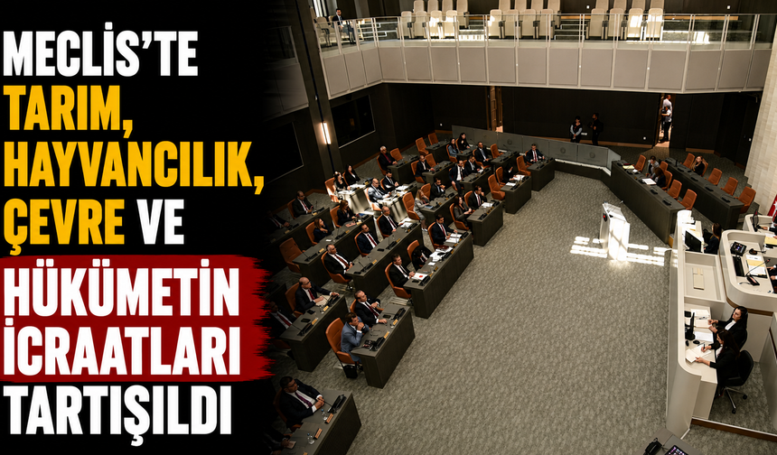 Meclis’te tarım, hayvancılık, çevre ve hükümetin icraatları tartışıldı