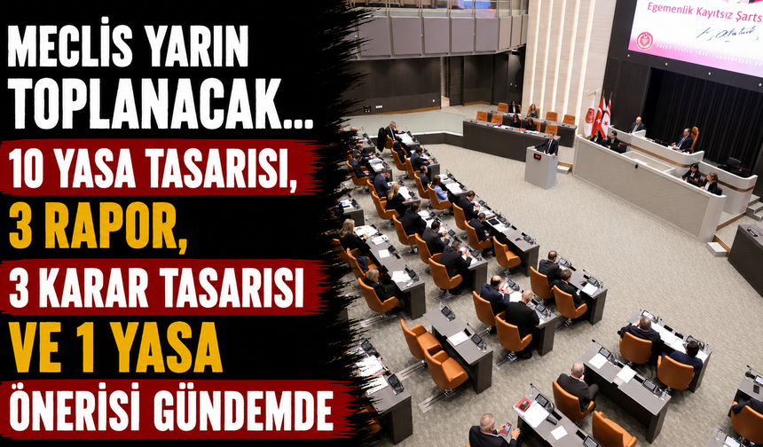Meclis yarın toplanacak… 10 yasa tasarısı, 3 rapor, 3 karar tasarısı ve 1 yasa önerisi gündemde