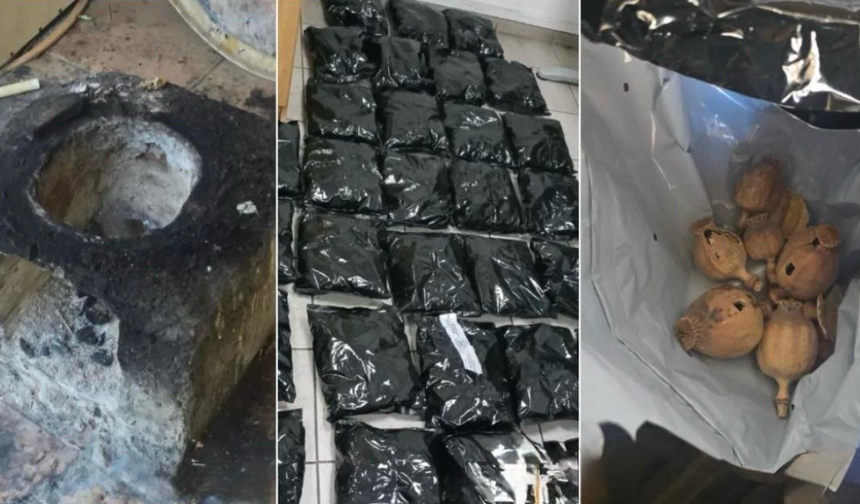 Güney Kıbrıs’ta ilk kez ve çok miktarda afyon haşhaşı ele geçirildi