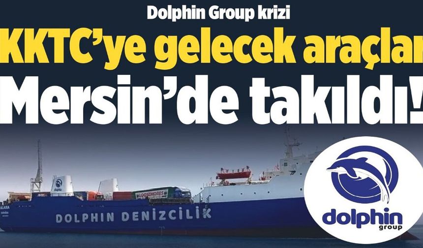 Dolphin Group krizi