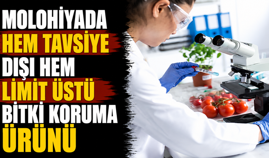 Molohiyada hem tavsiye dışı hem limit üstü bitki koruma ürünü