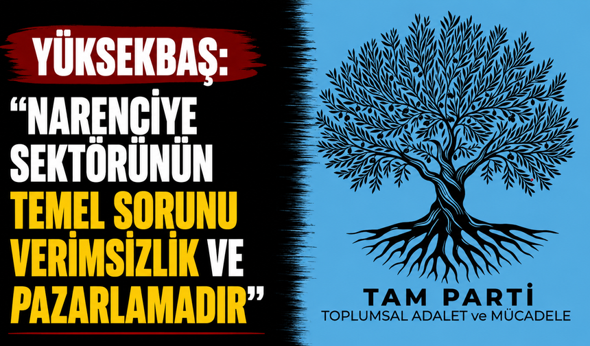 Yüksekbaş: "Narenciye sektörünün temel sorunu verimsizlik ve pazarlamadır"