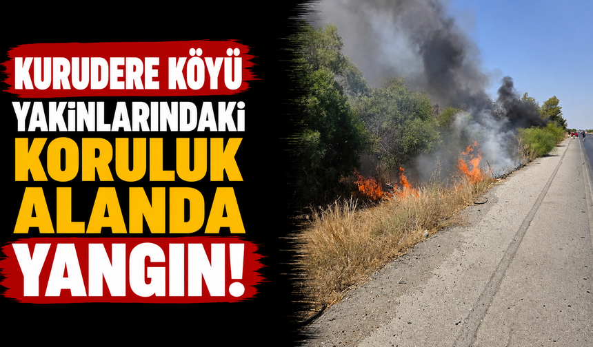 Kurudere köyü yakınlarındaki koruluk alanda yangın...