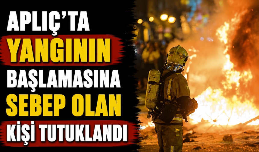 Aplıç'ta yangının başlamasına sebep olan kişi tutuklandı