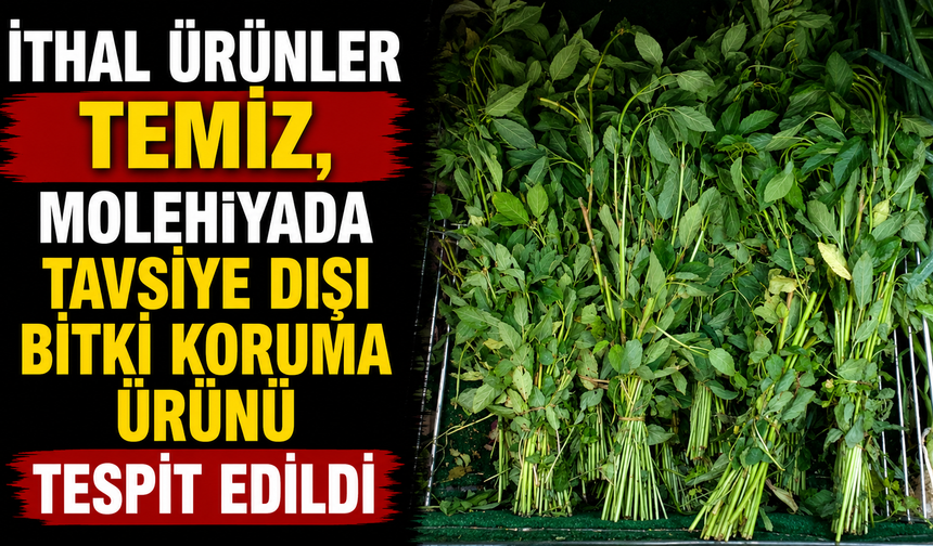 İthal ürünler temiz, molehiyada tavsiye dışı bitki koruma ürünü tespit edildi
