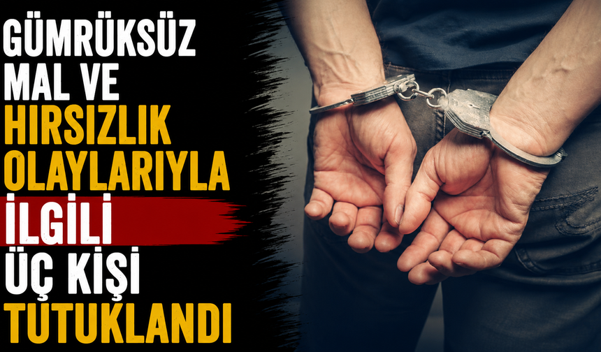 Gümrüksüz mal ve hırsızlık olaylarıyla ilgili üç kişi tutuklandı