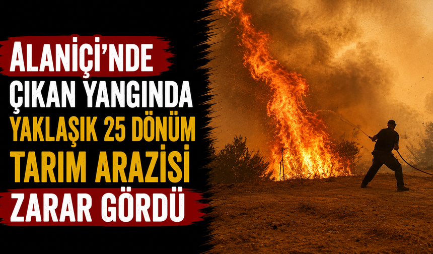 Alaniçi'nde çıkan yangında yaklaşık 25 dönüm tarım arazisi zarar gördü