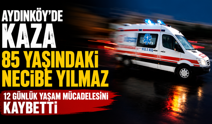Aydınköy’de aracın çarptığı 85 yaşındaki Necibe Yılmaz 12 günlük yaşam mücadelesini kaybetti