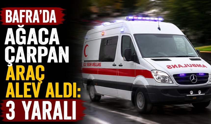 Bafra'da ağaca çarpan araç alev aldı: 3 yaralı