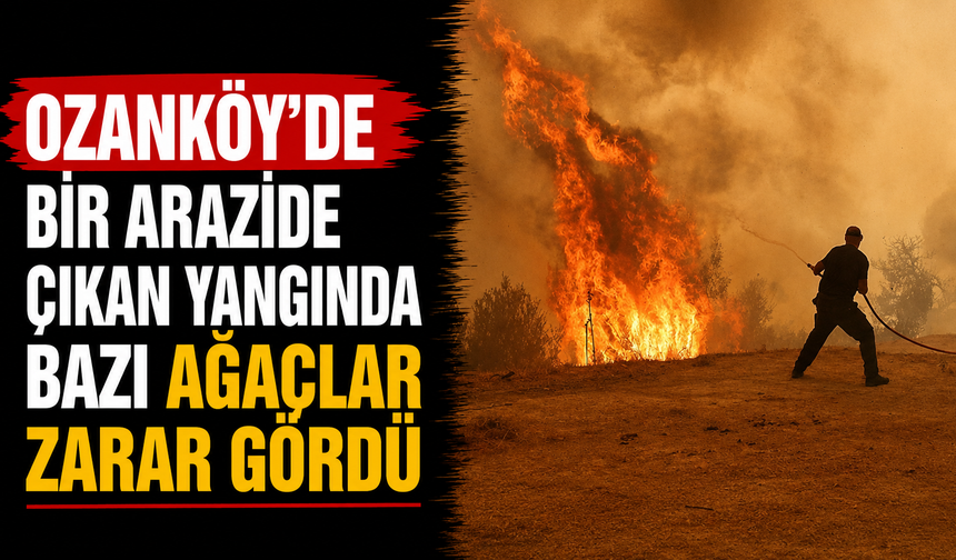 Ozanköy’de bir arazide çıkan yangında bazı ağaçlar zarar gördü