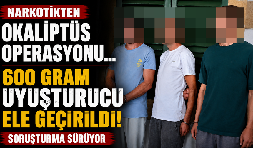 Narkotikten Okaliptüs Operasyonu... 600 Gram Uyuşturucu Ele Geçirildi