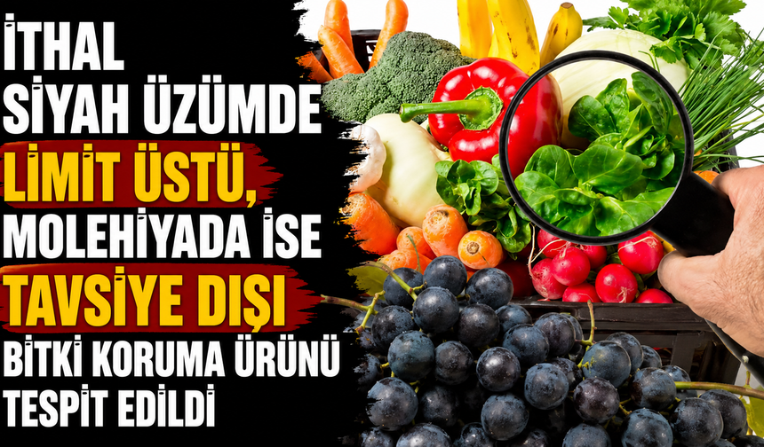 İthal siyah üzümde limit üstü, molehiyada ise tavsiye dışı bitki koruma ürünü tespit edildi